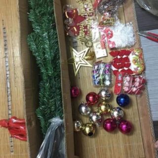 Cây thông noel