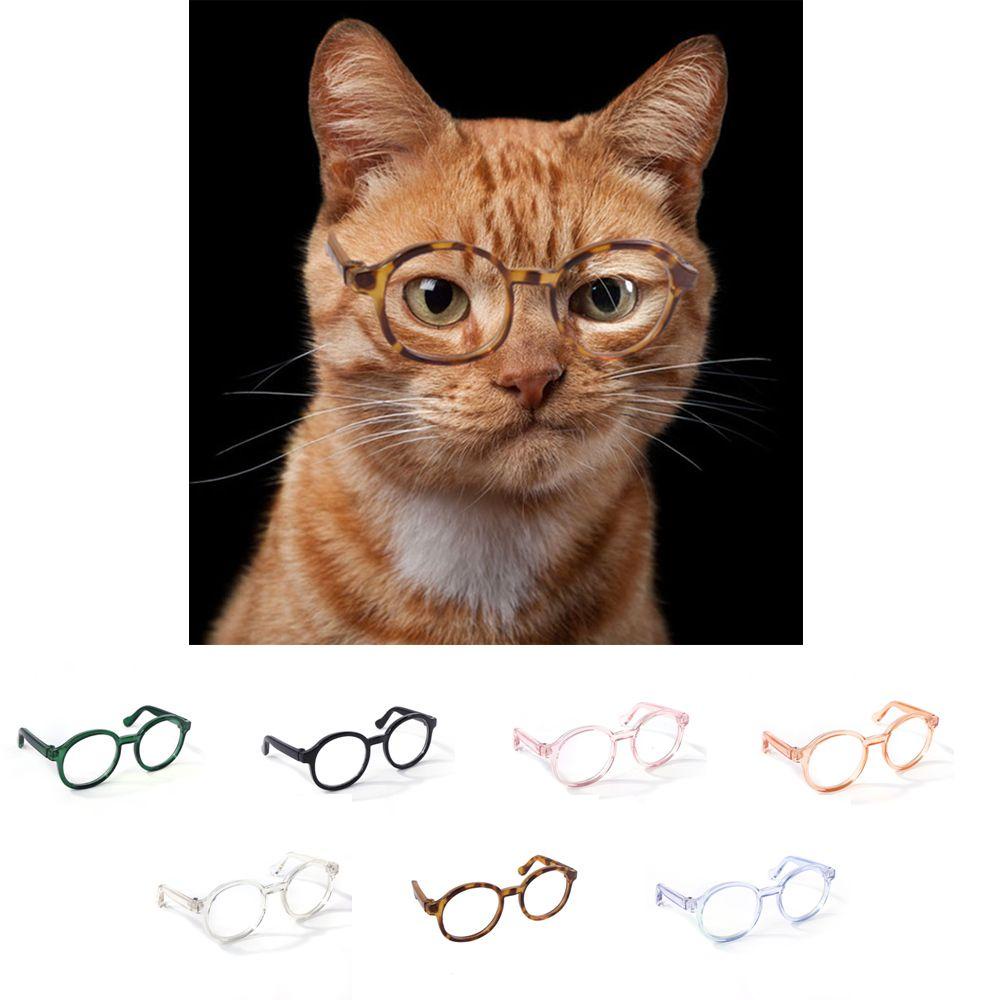 GIOVANNI Kính Mát Gọng Nhựa Nhiều Màu Cho Thú Cưng