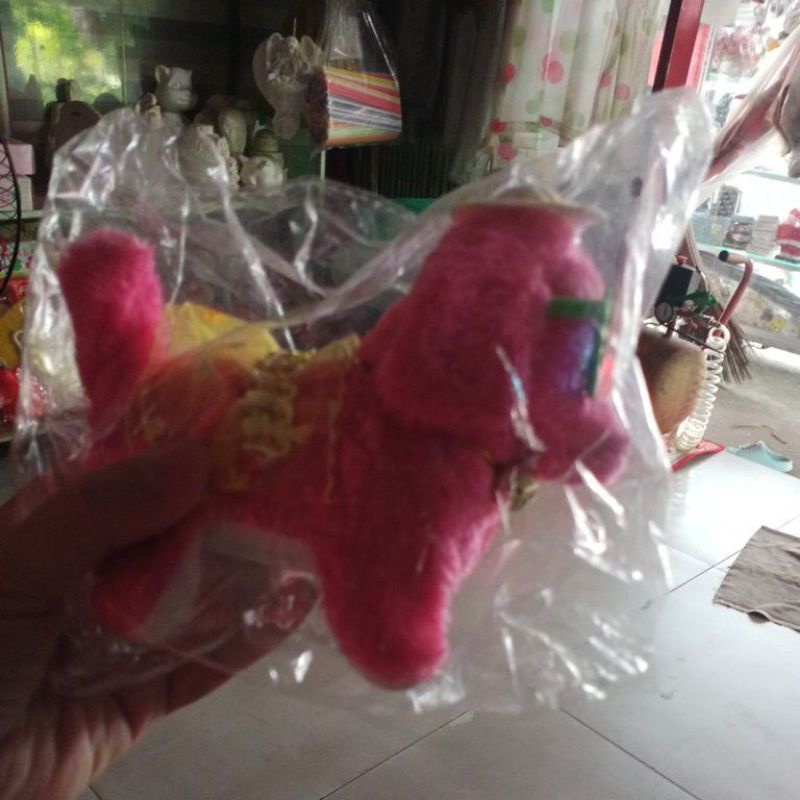 Chó  biết đi biết sủa