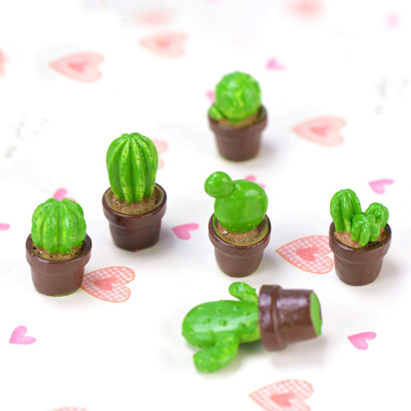 1 Đồ trang trí Cây Xương Rồng Mini Trang Trí Vườn