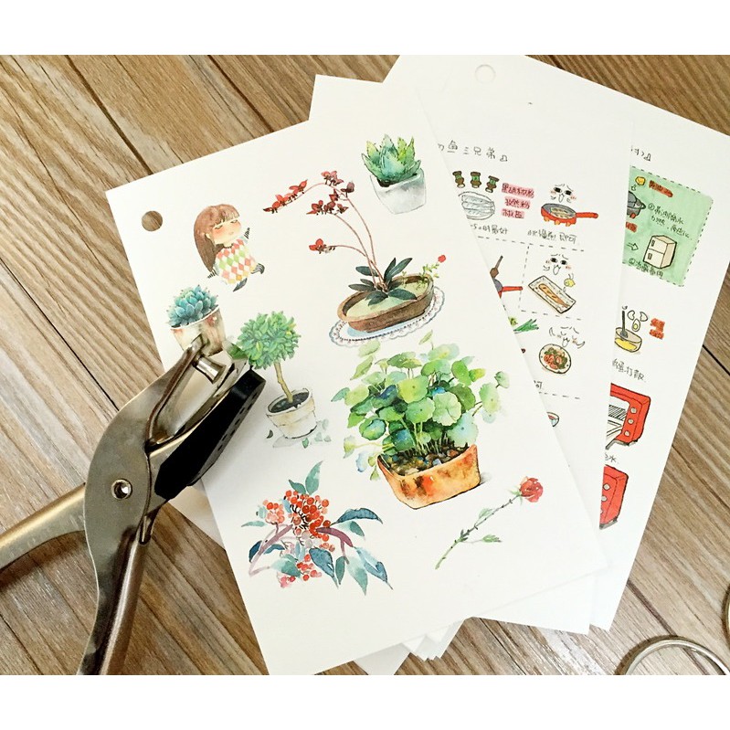 Giấy Màu Nước Hà Lan khổ postcard 315gsm