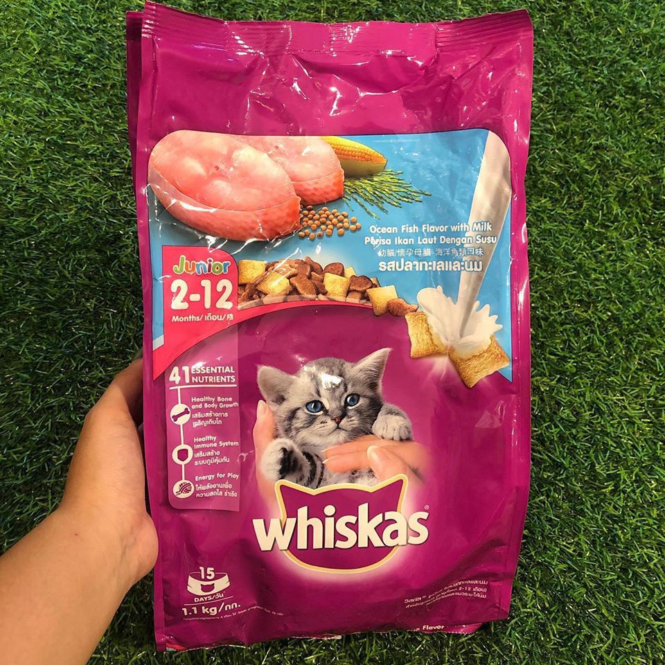 Hạt Whiskas Dành Cho Mèo Con Túi 1,1kg - Thức Ăn Hạt Cho Mèo Con