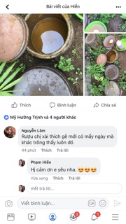 Cốt nghệ hạt gấc hạ thổ Face chai 500ml