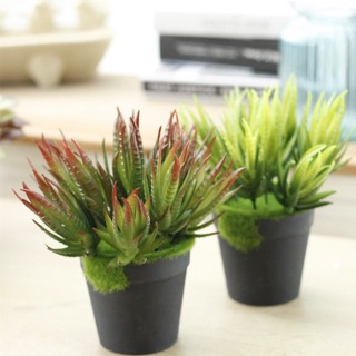 Chậu trồng cây giả mini 432