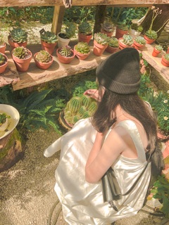 Thanh lý quần áo