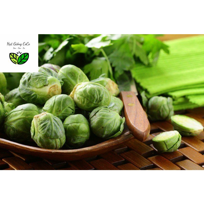 Hạt Giống Cải Bắp Tí Hon - Mỹ Gói 150 Hạt