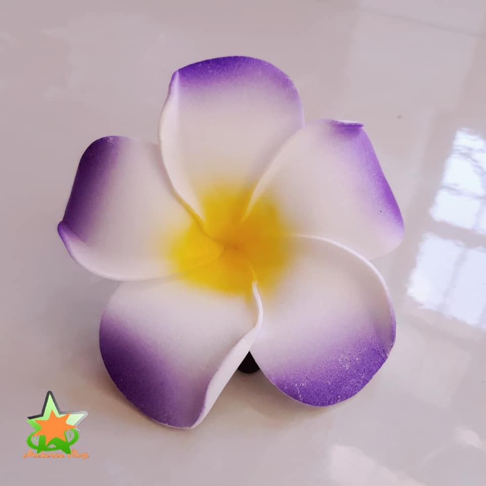 Hoa đại cài tóc đi biển, hoa sứ cài tóc