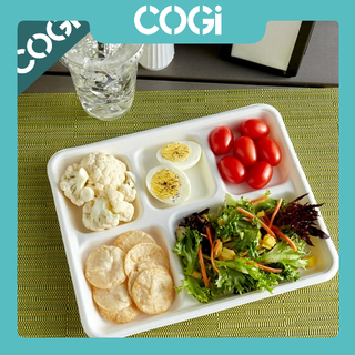 05 khay cơm bã mía 5 ngăn dùng 1 lần COGI