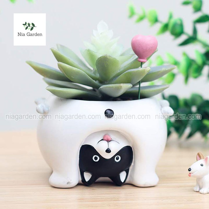 Chậu thú nhựa lộn ngược trồng sen đá xương rồng mini gấu heo chó Nia Garden N4