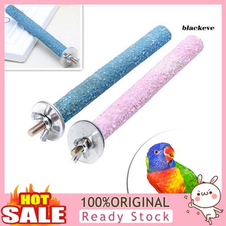 Cầu mài móng cho chim vẹt