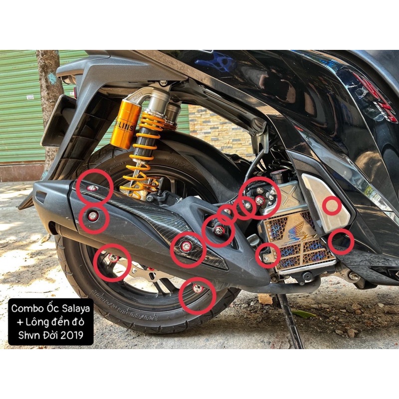 Combo 16 con Ốc Salaya Lông Đền Đỏ gắn Shvn 2019 ✌