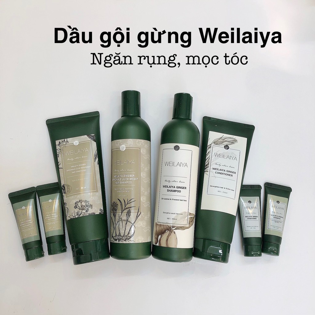 Bộ dầu gội xả gừng Weilaiya giảm rụng, kích mọc tóc nhanh - THE ZOE BEAUTY