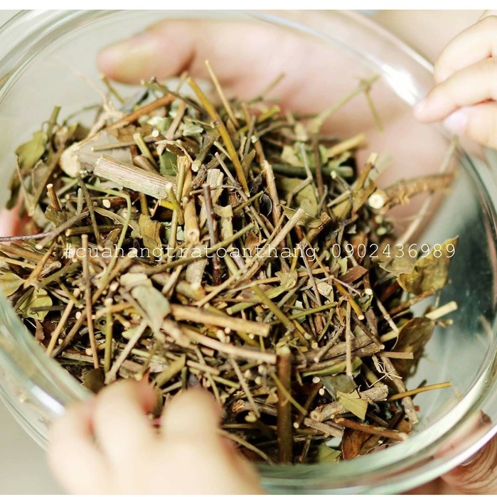 CHÈ LÁ VẰNG SẺ KHÔ LỢI SỮA GIẢM CÂN TỐT CHO PHỤ NỮ