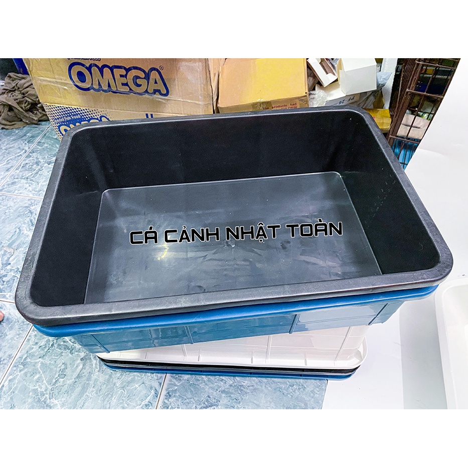 CÔNG NHỰA 16 LÍT NUÔI CÁ BẢY MÀU BETTA 50X35X13CM