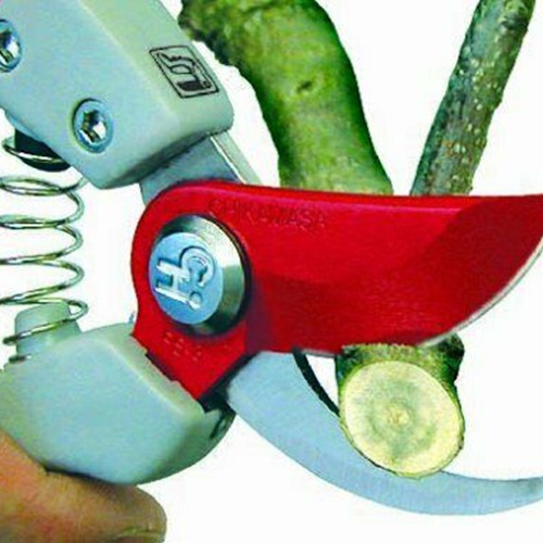 Kéo cắt tỉa cành cây Chikamasa PS-7G