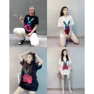 [ Có video + ảnh thật ] Áo thun nữ , áo phông thỏ dáng dấu quần chất loại 1