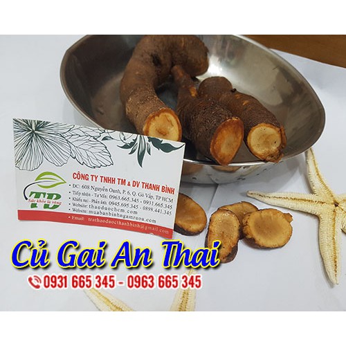 Củ Gai An Thai Tươi 1Kg - Hàng Loại 1 Chất Lượng Nhất