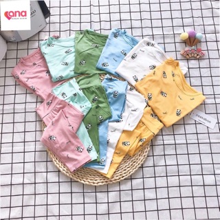Bộ dài tay pekaboo cạp cao cho bé