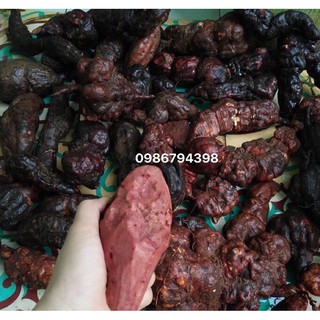 Hà thủ ô sơ chế loại 1