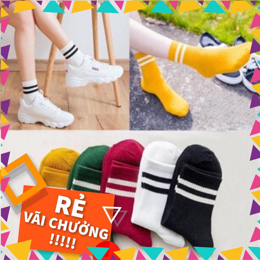 [Sỉ lẻ] Tất kẻ cổ cao Korea