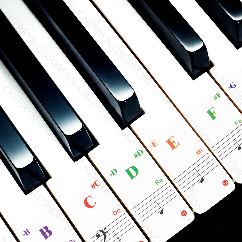 【COD】Miếng Dán Phím Đàn Piano Trong Suốt Loại 88 / 61 / 54 / 49 / 37 / 32 Phím Tiện Dụng