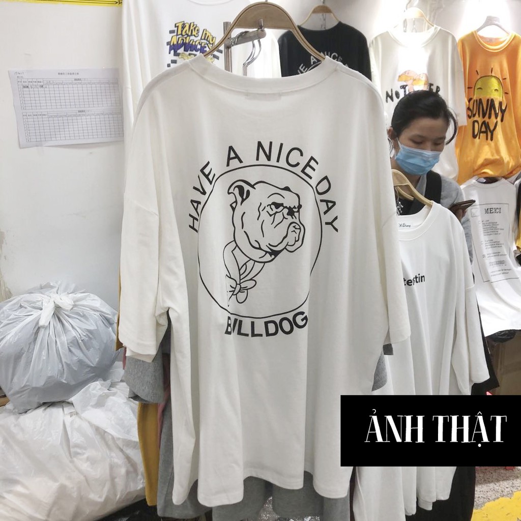 [ KÈM ẢNH THẬT ] Áo thun cotton BULL DOG tay lỡ cực xinh