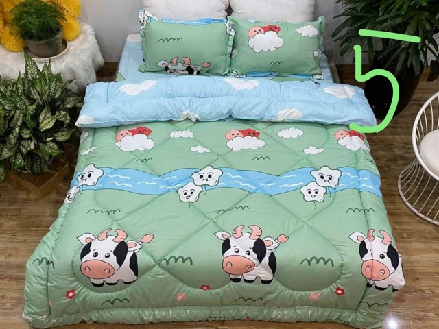 Chăn phao mùa đông - siêu nhẹ - siêu ấm ( ship luôn qua now) | BigBuy360 - bigbuy360.vn