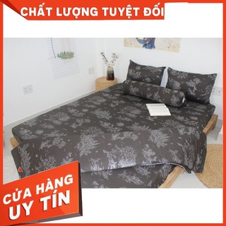 Bộ ga giường 🍁 1 ĐỔI 1 🍁 ga gối cotton lụa satin Hàn Quốc - vải nhập khẩu - siêu mềm, mát, mịn