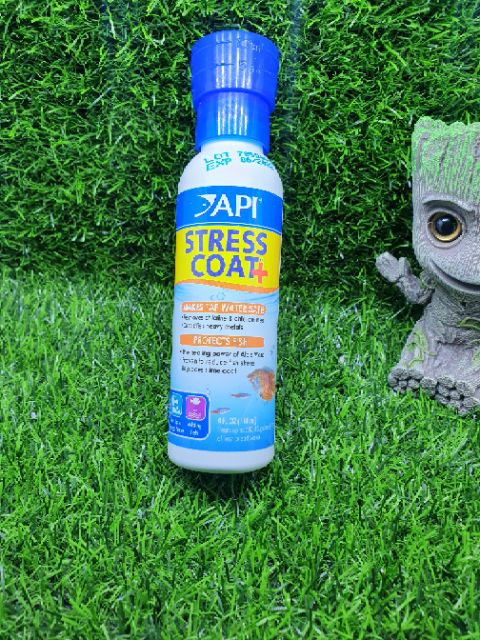 Dung dịch giảm Stress khử độc nước API STRESS COAT + Cho Cá Cảnh - Guppy Xanh