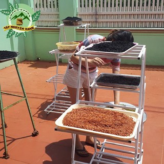 100GR BỘT ĐẬU ĐEN NGUYÊN CHẤT 100% NHÀ LÀM