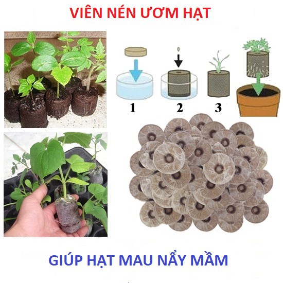 Viên Nén Ươm Hạt Giống, Cây Giống Kích Thích Nảy Mầm Nhanh, Tiện Lợi - AN AN SAIGON