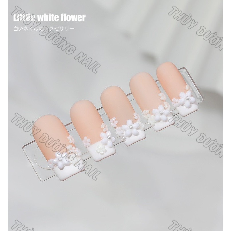 Khay phụ kiện hoa sứ, bi trang trí móng 100 hoa mix size