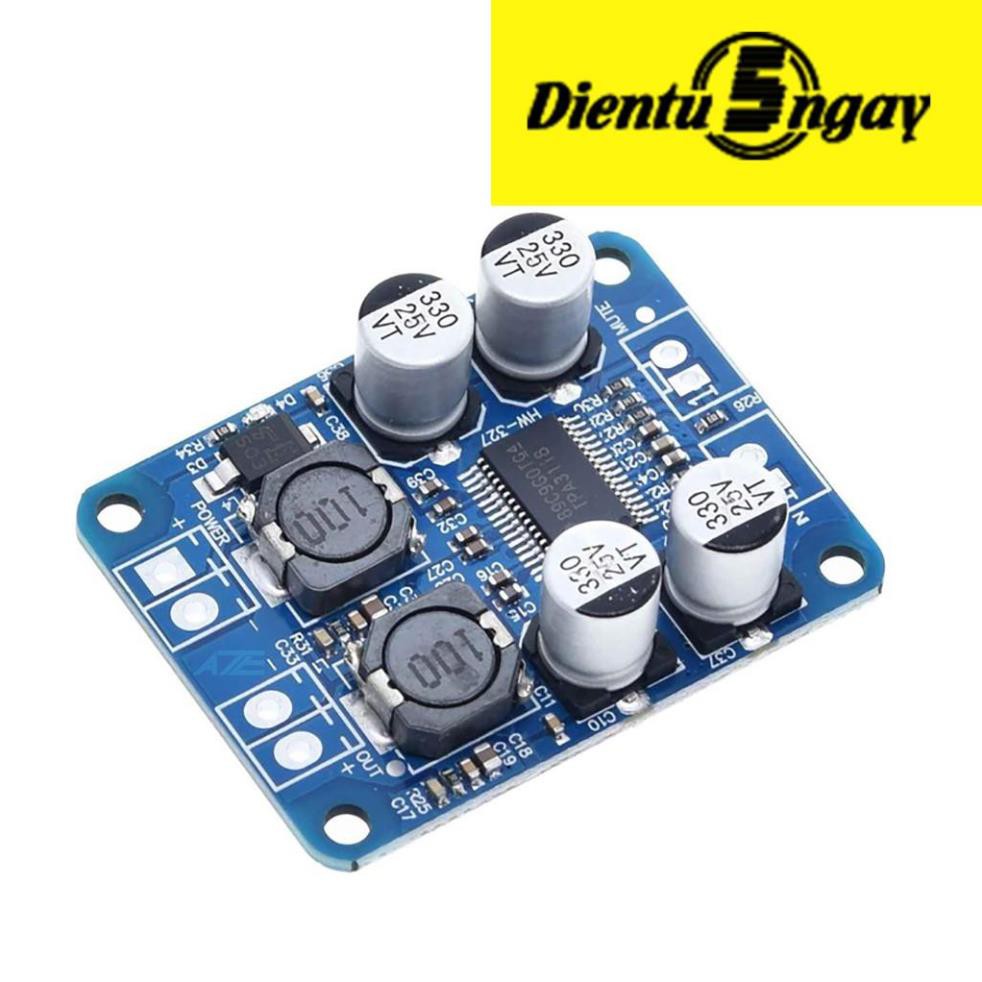 Module tăng âm TPA3118 Mono 60W - 2D1 _