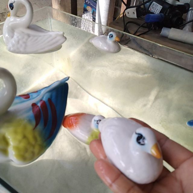 Vịt nổi trên mặt nước,tượng vịt con,thiên nga