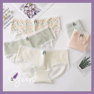 SET 5 QUẦN LÓT COTTON VANVENE