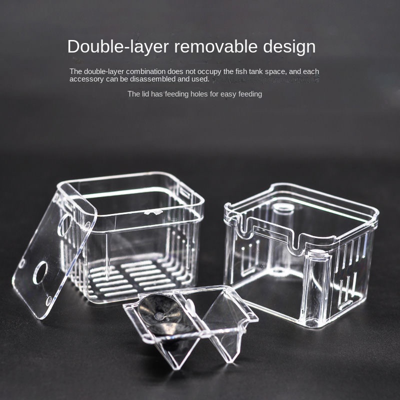 Hộp Nuôi Cá Bằng acrylic Cách Ly Cực Kỳ Cỡ Lớn