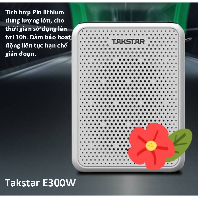 Mic trợ giảng không dây Takstar E300W | Loa trợ giảng