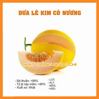 Hạt Giống Dưa Lê Kim Cô Nương F1 - 10 Hạt