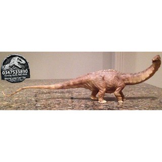 LOVD QAXC Mô hình khủng long Apatosaurus hãng Papo Pháp 62 95