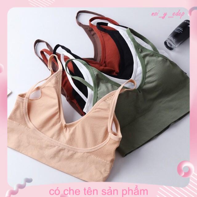 Áo bra cotton gân tăm 367 VENIZO hàng loại 1 [kho sỉ] | BigBuy360 - bigbuy360.vn