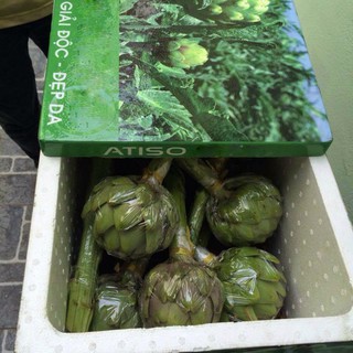 Bông Atiso tươi Đà Lạt - (2 bông lớn)