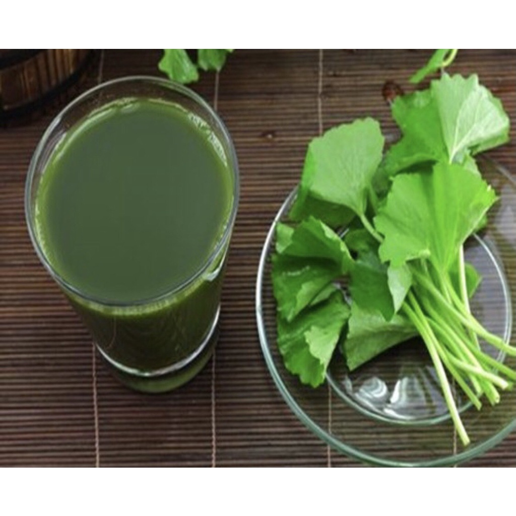 Combo 5 hộp trà dâu ngô rau má mã đề - Thanh nhiệt, giải độc, lợi tiểu...