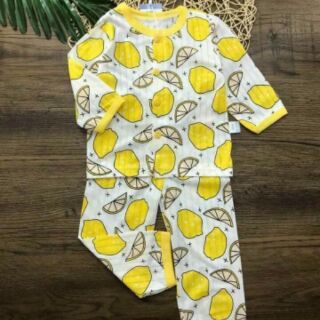 Combo 3 bộ cotton giấy