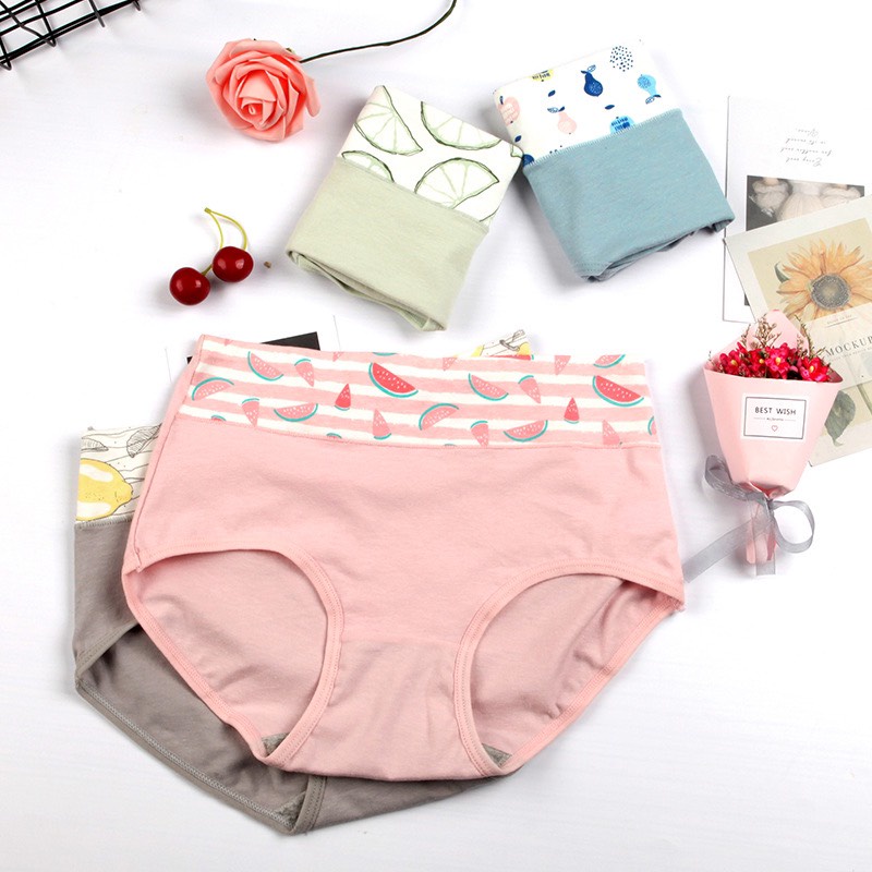 Set 4c quần lót nữ cotton cạp cao Quảng Châu cao cấp co giãn 4 chiều