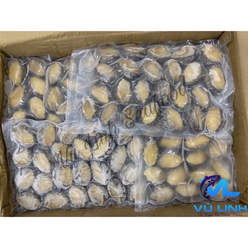 Bào ngư Hàn Quốc 500g-1kg (Đủ size)