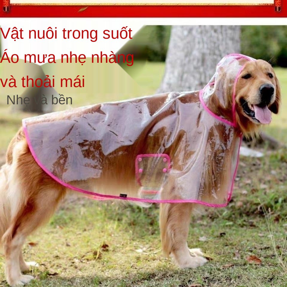 quần áo bao gồm tất cả cho chó lớn không thấm nước vật nuôi trong suốt mưa poncho Nguồn cung cấp