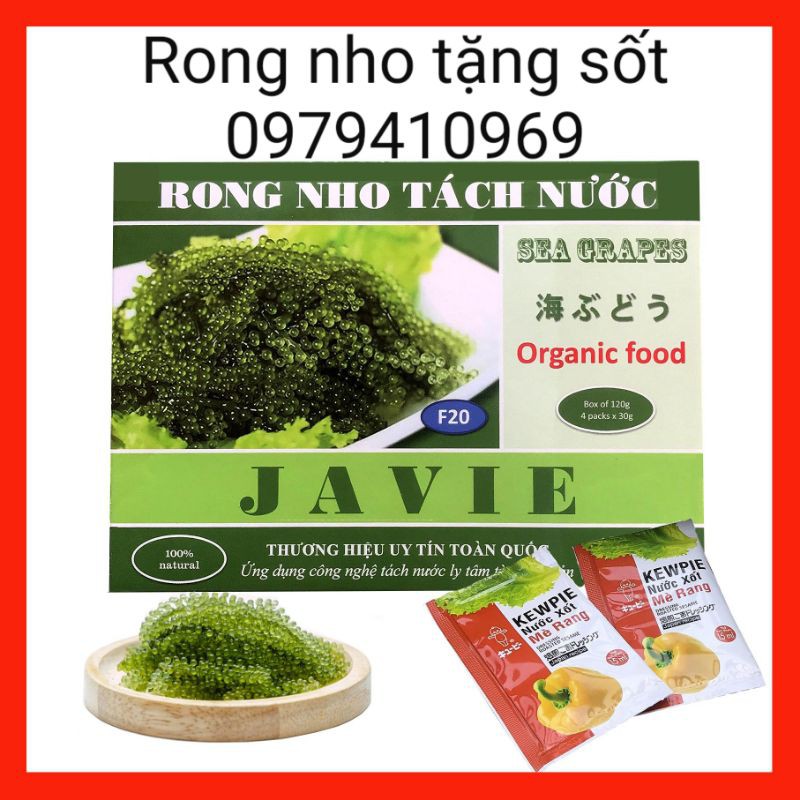 Rong nho 20 hộp (120gr/hộp) tặng 40 gói sốt. rong nho tách nước. rong nho khô. rong biển khô