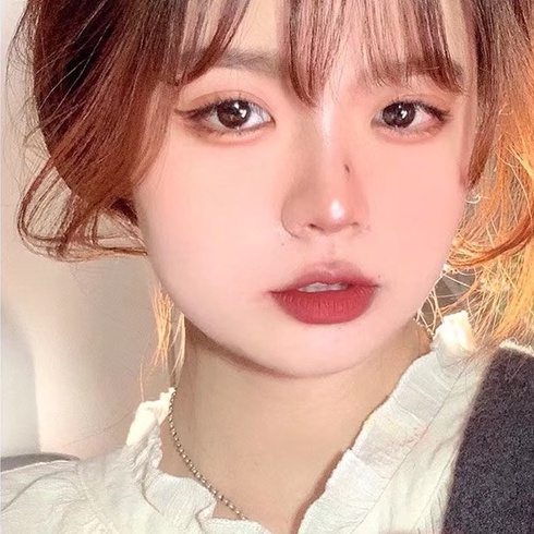 1 Son Môi Màu Lì Lâu Trôi Chống Thấm Nước Sành Điệu 2021