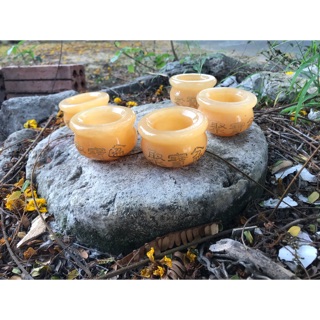 Combo 5 chén vàng ngọc hoàng long