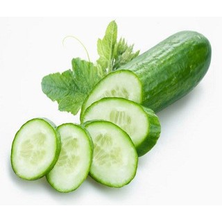 Hạt giống Dưa Leo Thái Lan (1g)